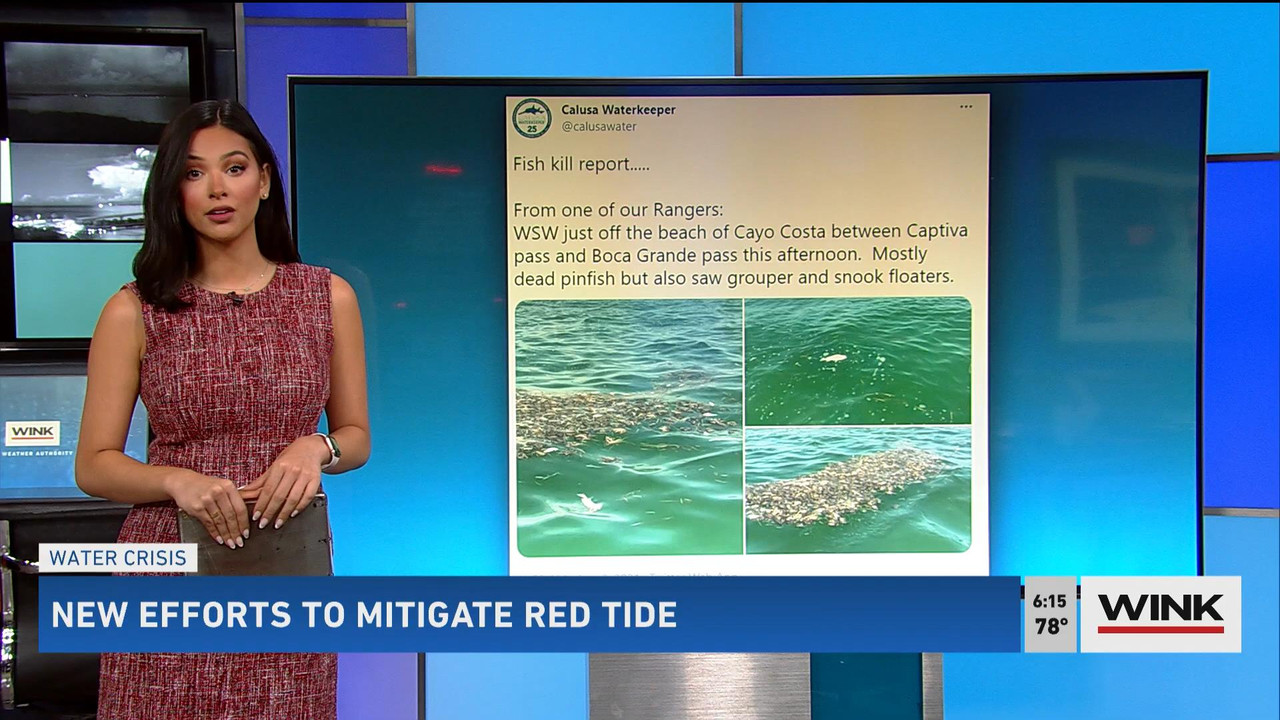 08.08 - 11.00.00 - WINK News @ 6 00AM Sunday. Local news, sports and ....ts_snapshot_11.52_[2021.08.