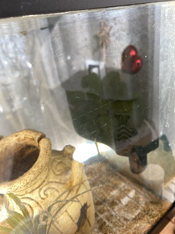 2C7DEBA8-C652-41E9-8C50-3469D29803B5