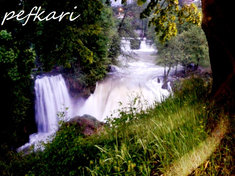 Slika