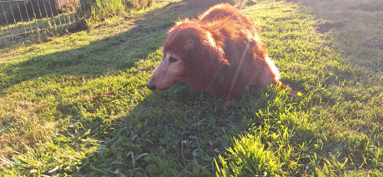 [Image: 20250331-190751.jpg]