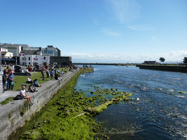 10 días por Irlanda en verano de 2024 - Blogs de Irlanda - DÍA 8 – Abadía Corcomroe – Castillo Dunguaire - Galway (25)