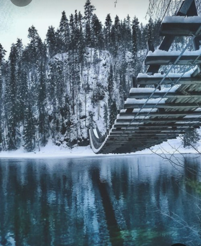 Screenshot_20231103_224652_Pinterest