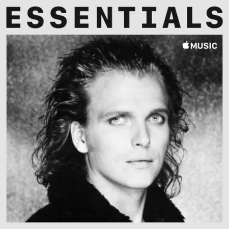 The Michael Schenker Group   Essentials (2020)