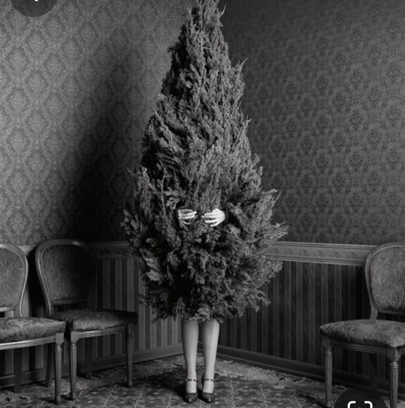 Screenshot_20231212_183210_Pinterest