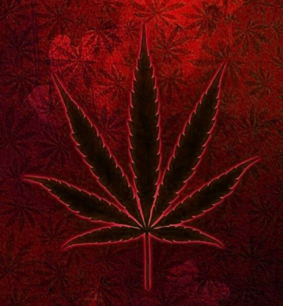 fuck you red leaf 23
