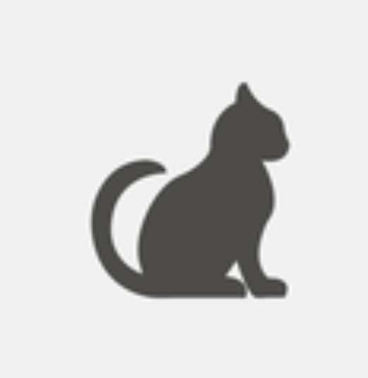 Ảnh IPA App 2