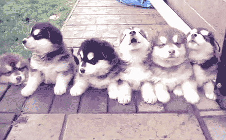 source.gif