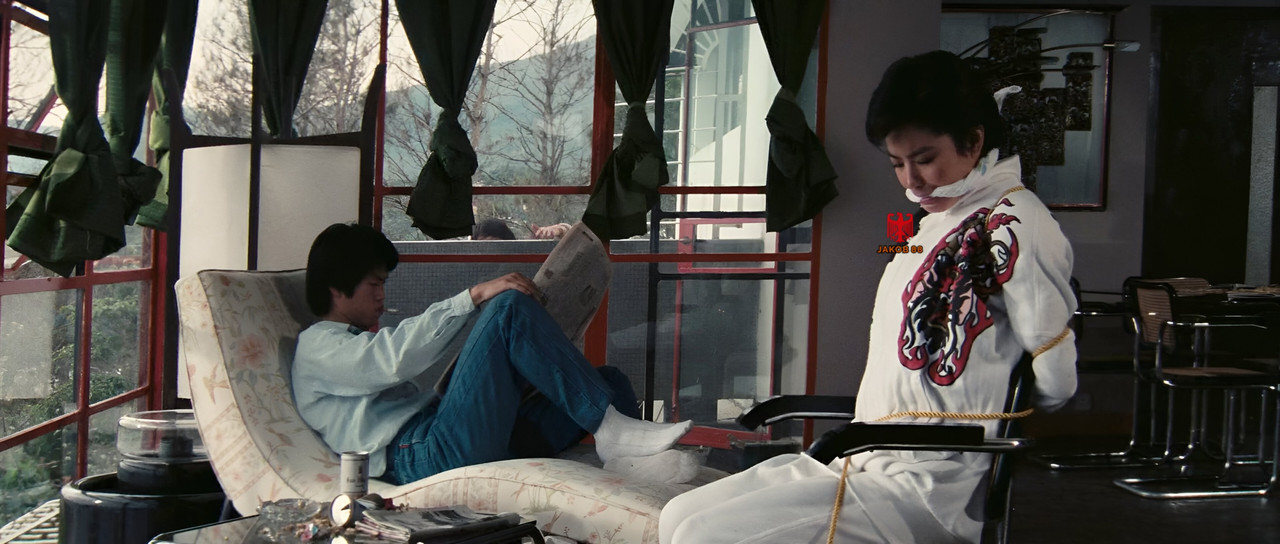 Brigitte Lin 3 - Police Story 1985