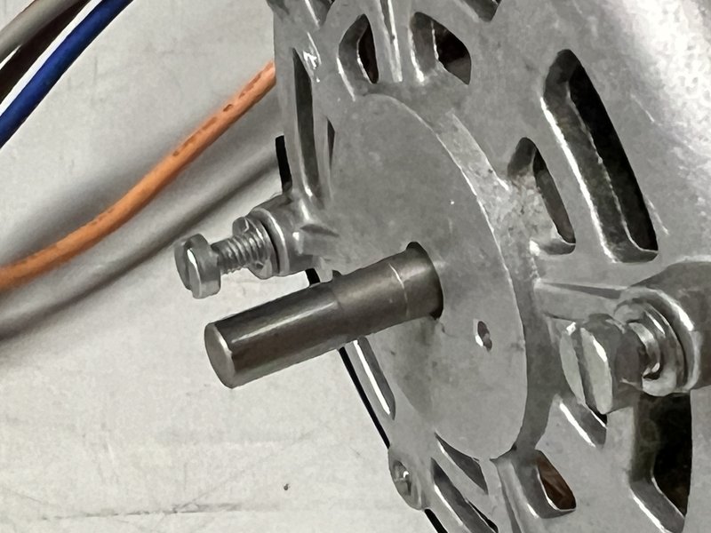 Foto 25.07.24, 10 03 37