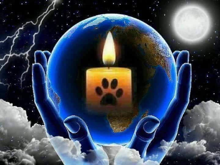 [Image: 31398125-1477051089089974-7527006988845187072-n.jpg]