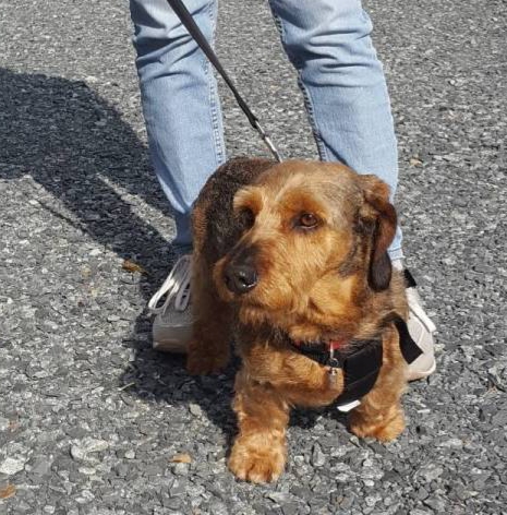 [Image: 20210713-192859.jpg]