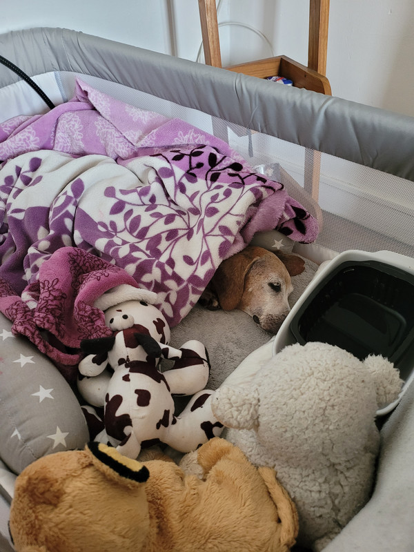 [Image: 20220224-095050.jpg]