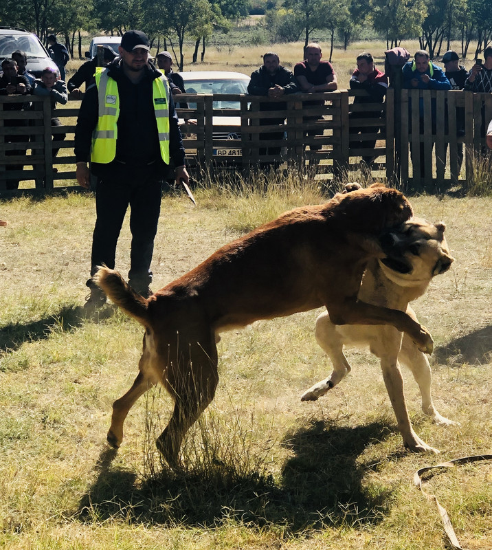 43638880-D694-4A7F-913A-1534FBE9B0E6