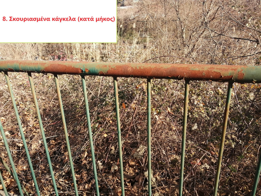 418961782-3544404759221967-5805775720816475656-n