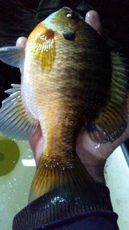 20210106_145001