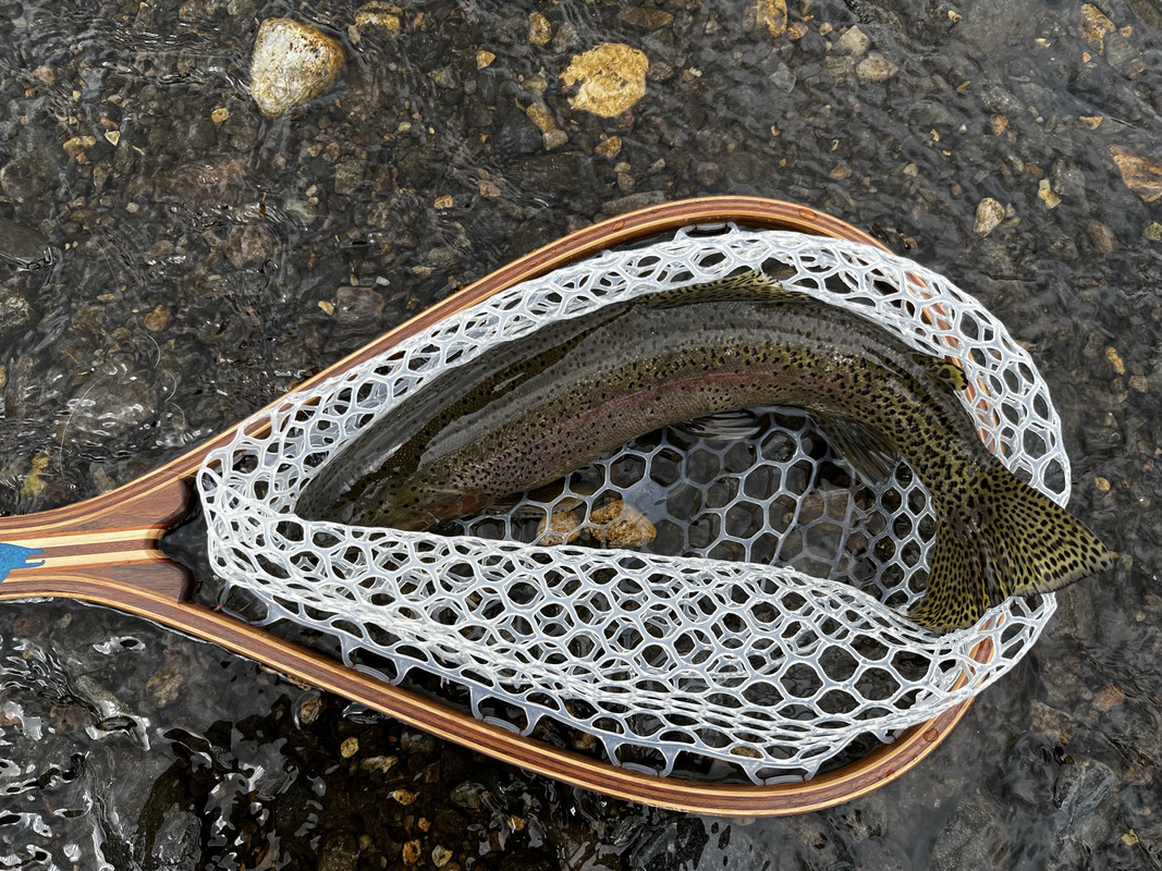 DB292A5E-6209-425C-B3B3-BB648A5DFAA7