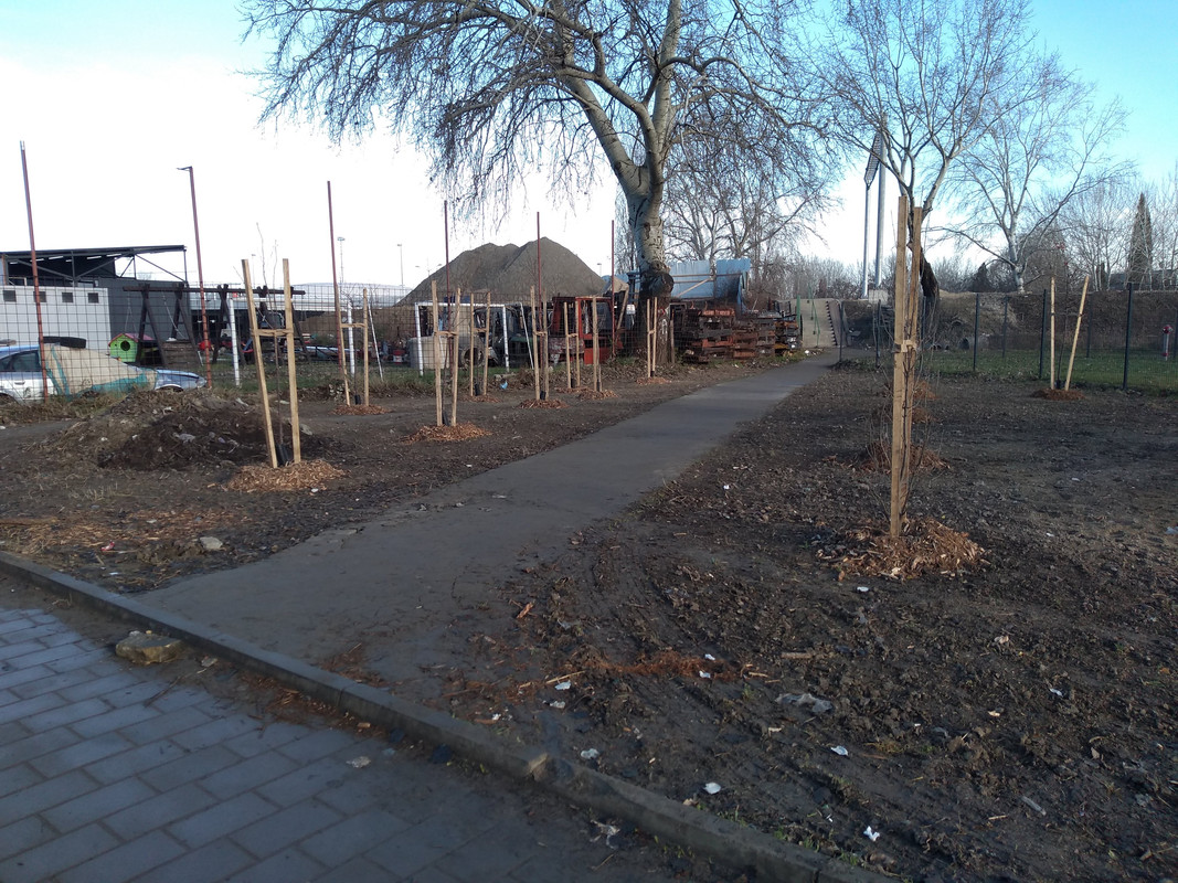 IMG_20221231_092509267