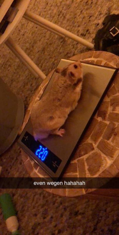 AB50D13A-E4DC-48C8-A0FD-D03237A06C07