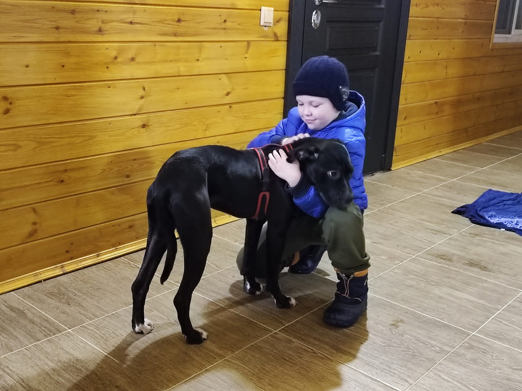 D1A26A89-C0E1-4D23-A091-C8E3BD1F5865