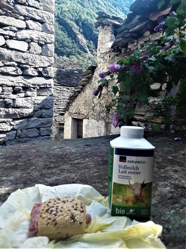 CORIPPO-8-9-2019 - Suiza y sus pueblos-2019 (49)