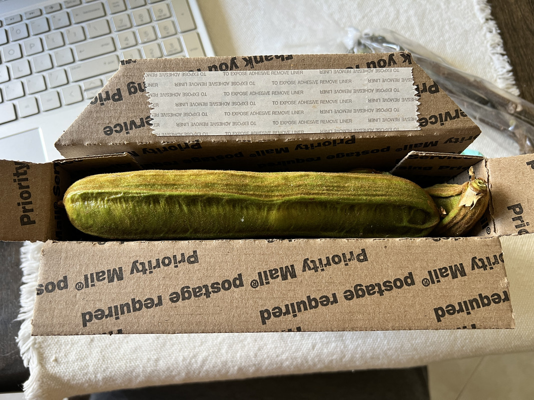 7C1584F1-0174-4F0F-AC64-EAD54963585D