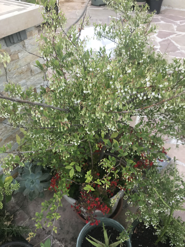 B1950CAC-747C-4B30-A63C-334D7F48D893