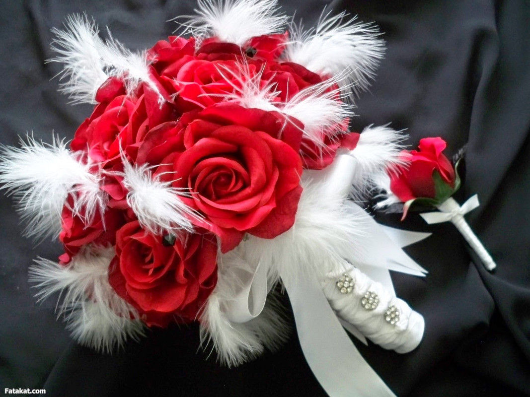 صور ور4د , احلى صور ورد 2014, صور ورود 2014,صور ورد ملون