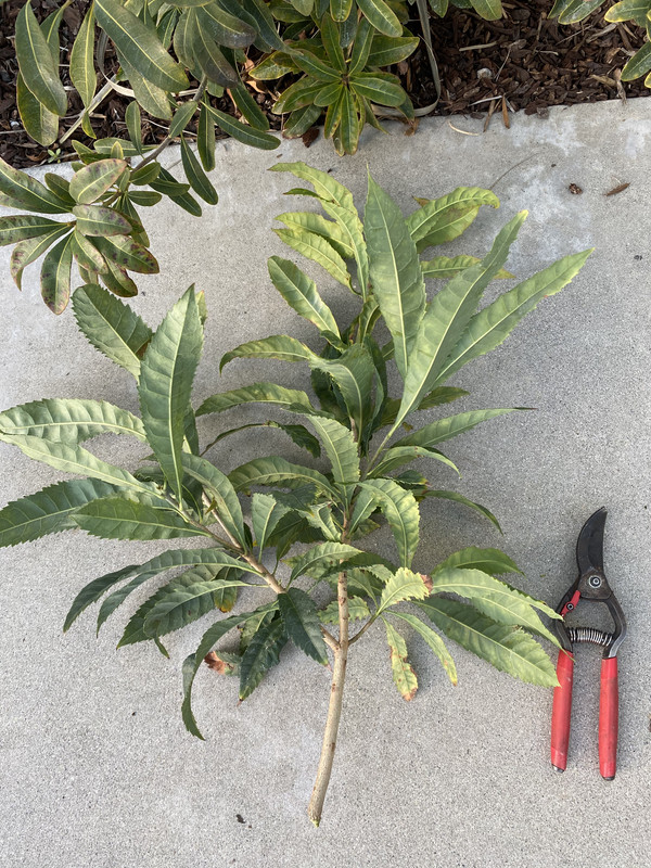 60243CDB-4062-4873-8DC0-A33CFE5C3625