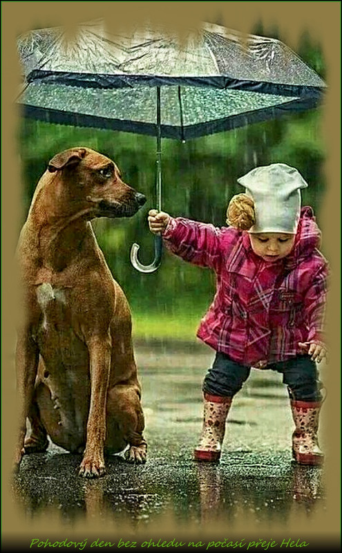 pršíí330.8.2023úúúpr