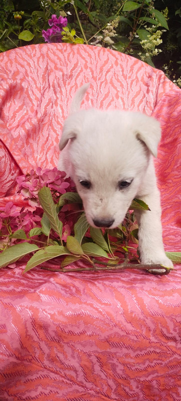 Изображение WhatsApp 2025-08-19 в 10.53.16_18e6362b