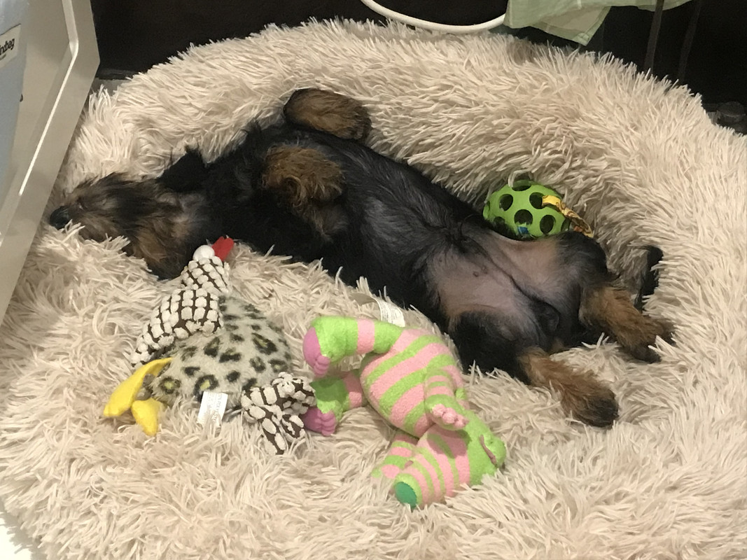 B43ABC92-1C1C-4593-AC7A-412DCE8A5AED