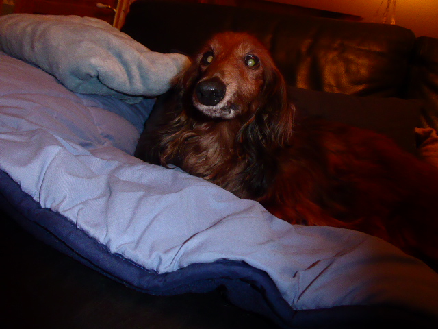 [Image: P1050836.jpg]