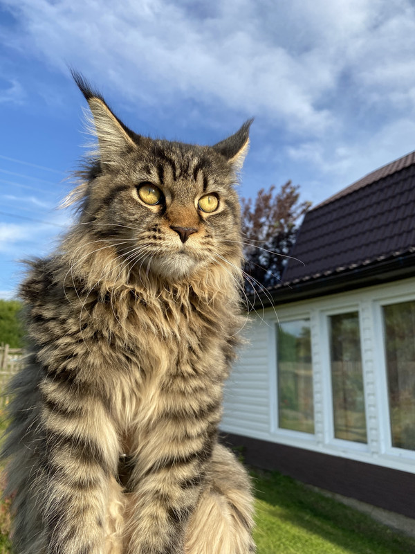 FFFA339E-9315-4875-A81B-36D75C01DCA4