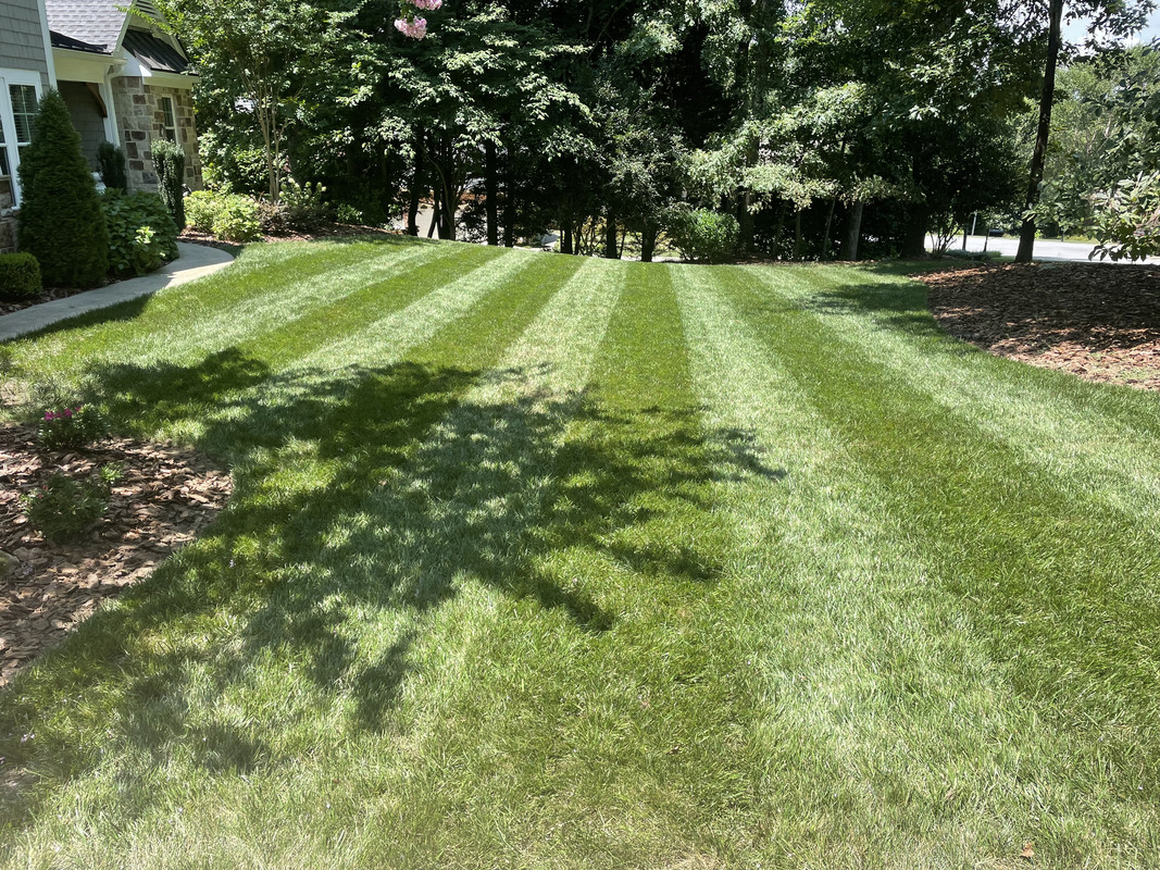 17305561-34E0-4546-AF31-9832DCA36224