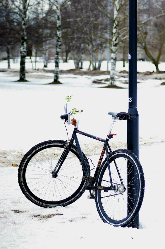 IMGP24530 - копия