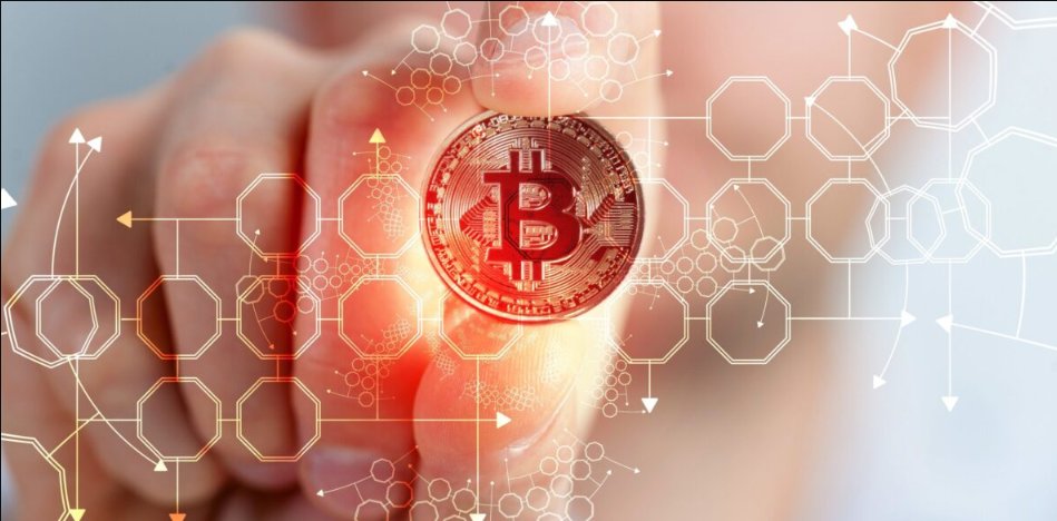 card image Биткойн: сколько людей на земле владеют BTC в 2024-ом году?