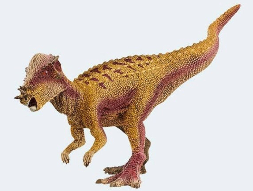 schleich pachycephalosaurus