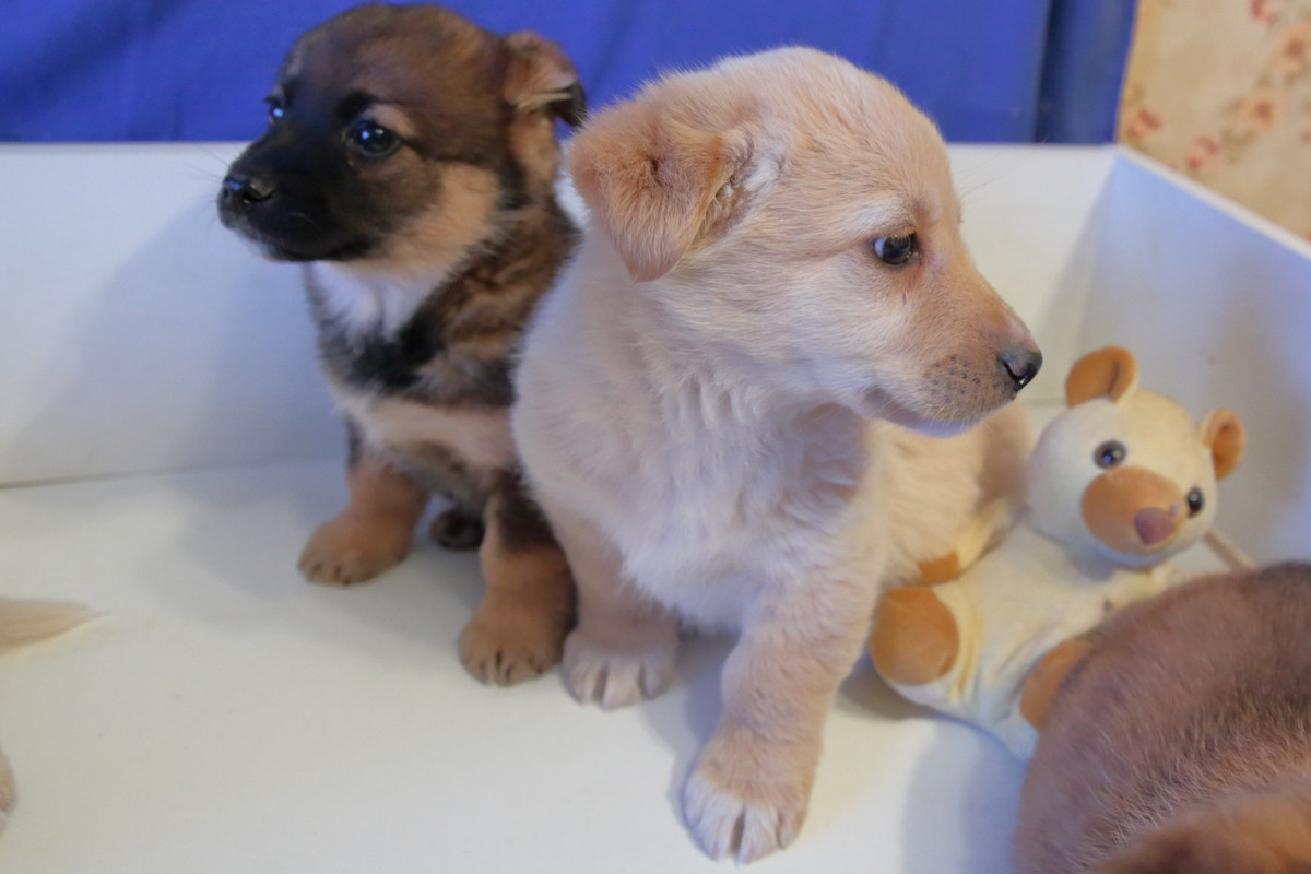 6ACA6951-3220-4C00-B6B5-A36A034A0A34