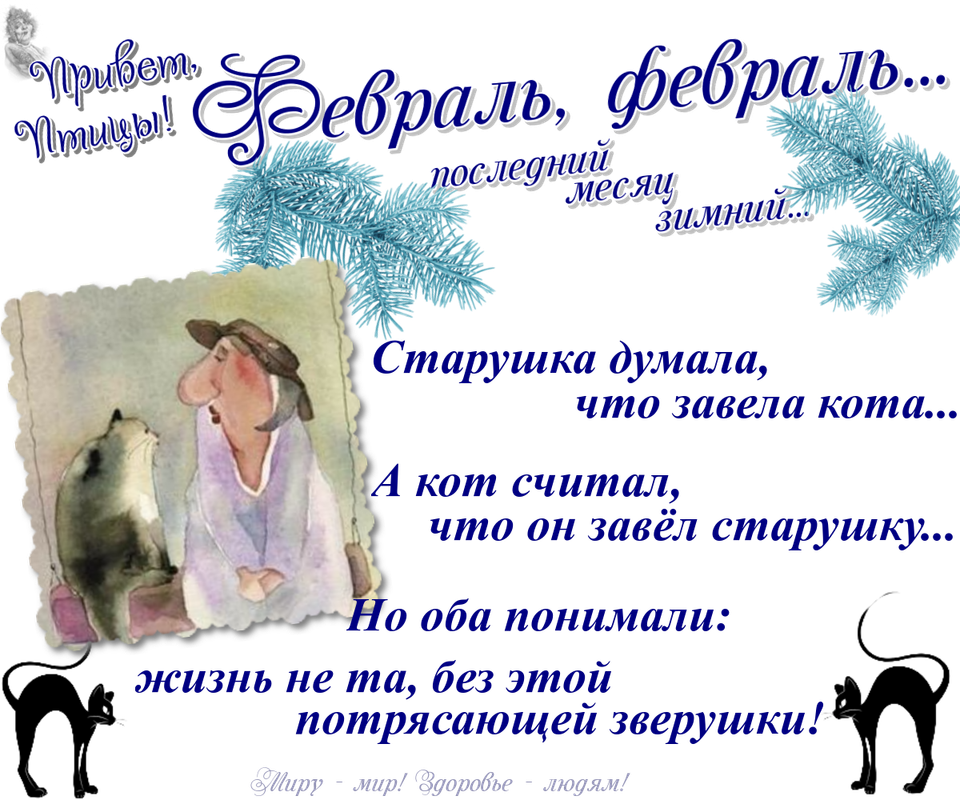 https://i.postimg.cc/qMRTBfX5/16-02.png