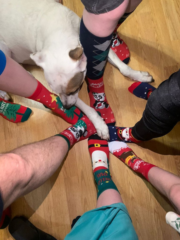 WhatsApp Image 2024-01-17 at 15.24.17 (1)