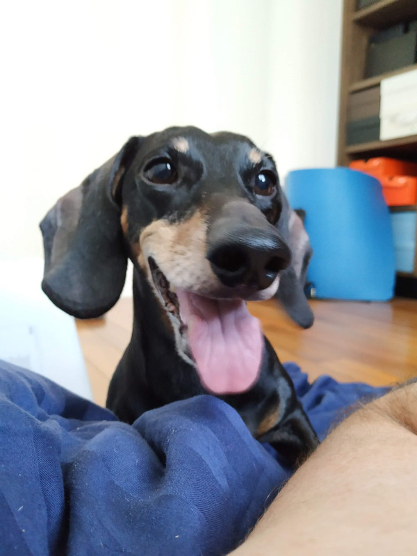 [Image: IMG-20221017-WA0011.jpg]