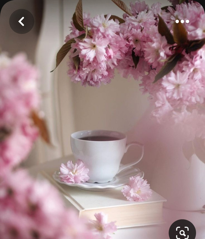 Screenshot_20230712_013341_Pinterest