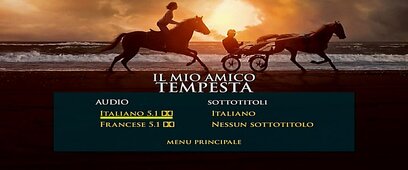 https://i.postimg.cc/qMRsB8f7/Il-Mio-Amico-Temp-2022-Sotto-Menu.jpg