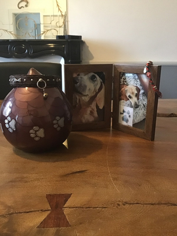 [Image: 682-F4-A5-C-1-C27-48-D0-A996-345117761784.jpg]