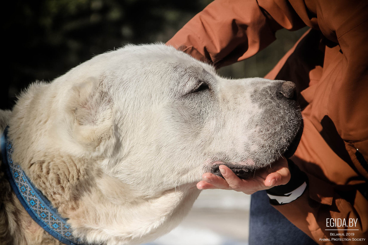 F1139D15-CDD3-45C5-AACC-112493093168