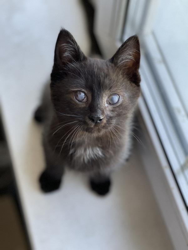 6D590853-6F92-4CEE-A2D6-759C411254A9