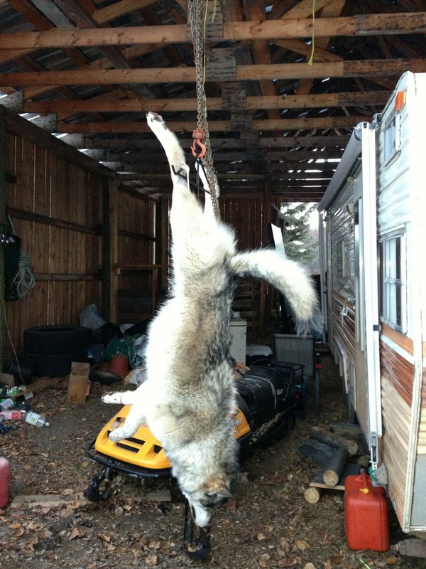 78634FE2-99A1-47C0-A7B9-1DC22B1960EB