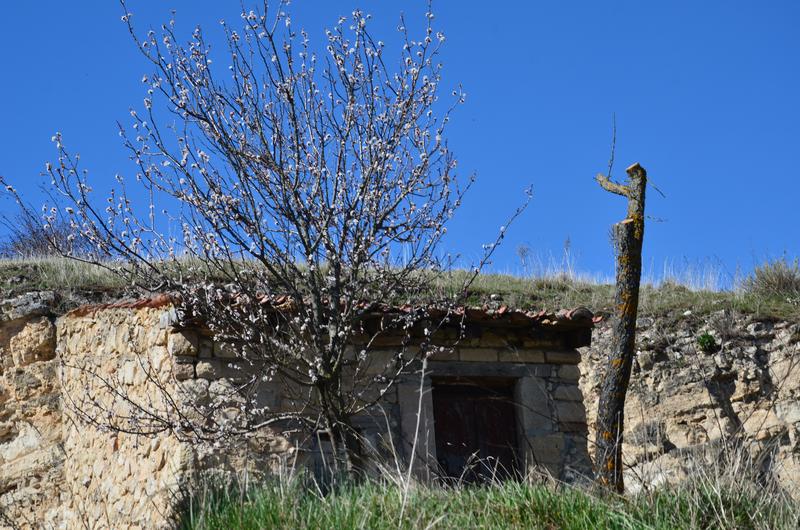 SEPULVEDA-18-3-2017-SEGOVIA - Los pueblos más bonitos de España-2010/2023 (40)