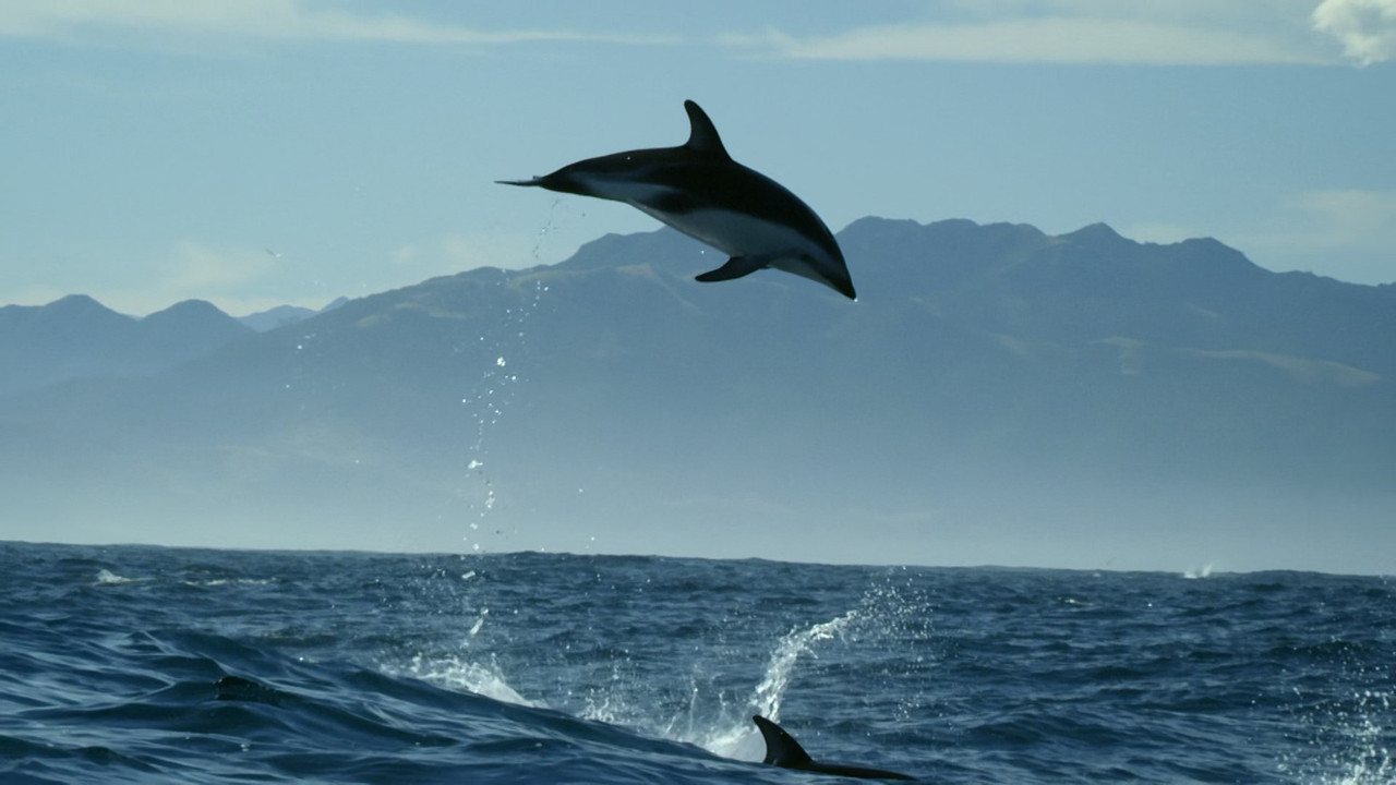 New Zealand Earth's Mythical Islands (2016) - S01E01 - Cast Adri