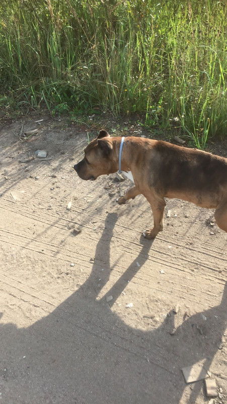 2D0EFDCF-B34E-4F83-98ED-74894ED40032